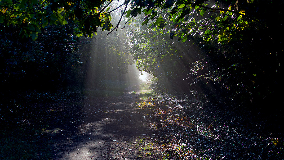 Last vestiges of mist