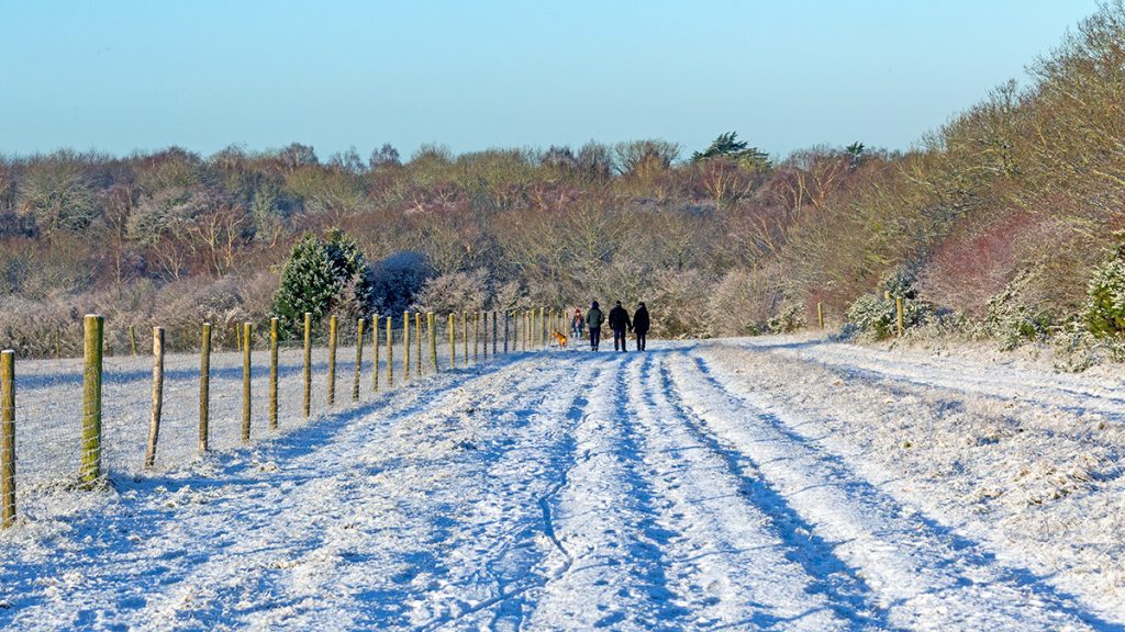 New Year snow on Banstead Downs